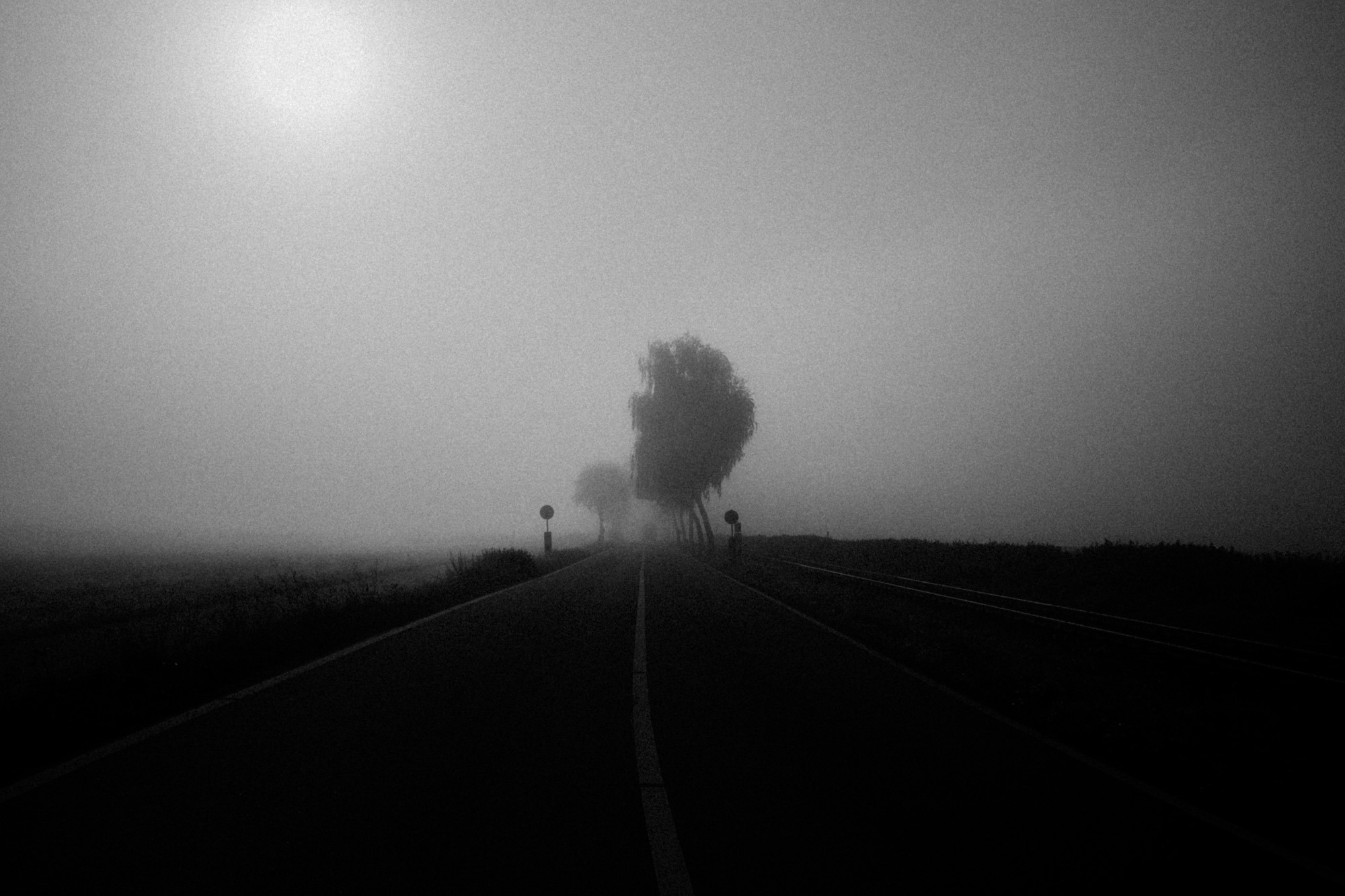 Landstraße im Nebel