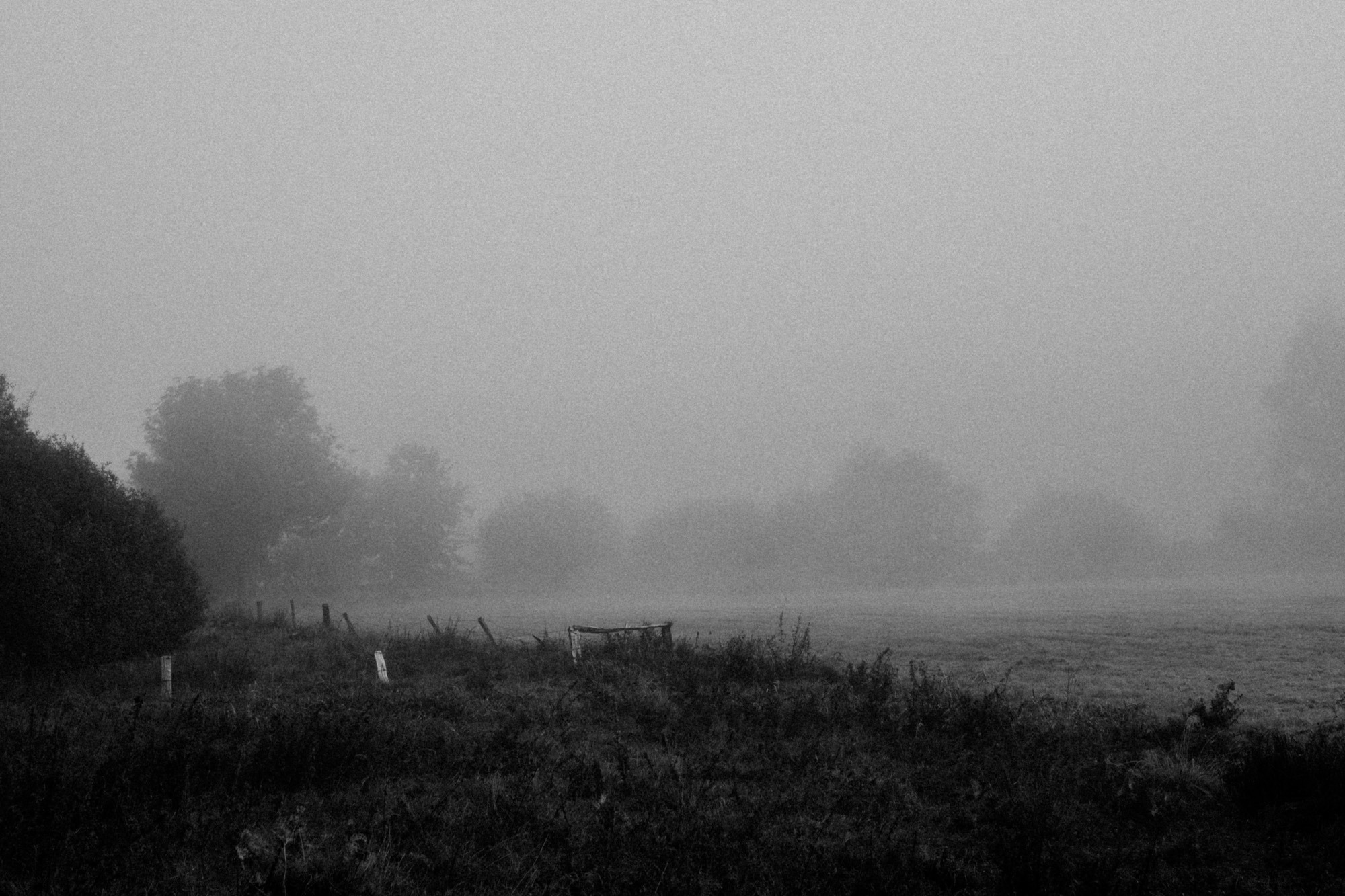 Weidezaun im Nebel