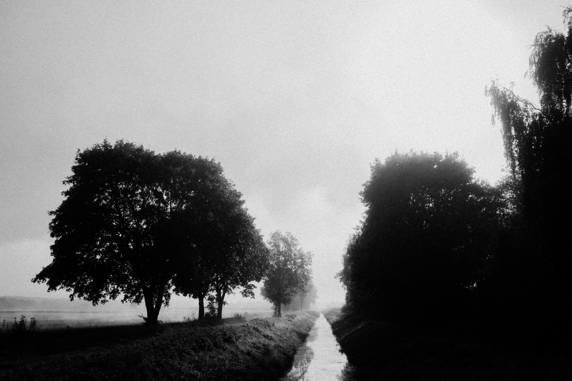 Graben im Nebel