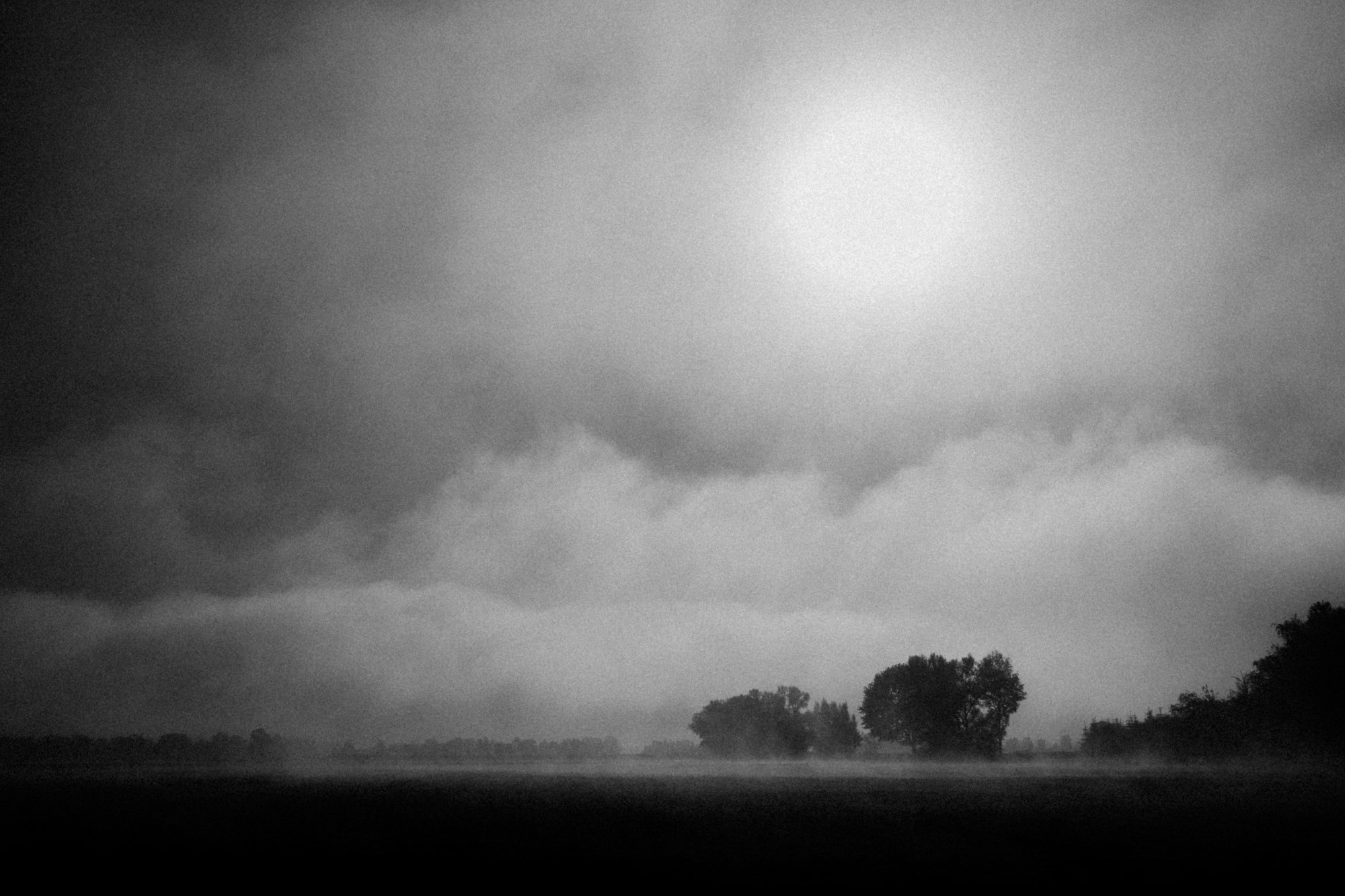 Herbstlandschaft im Nebel